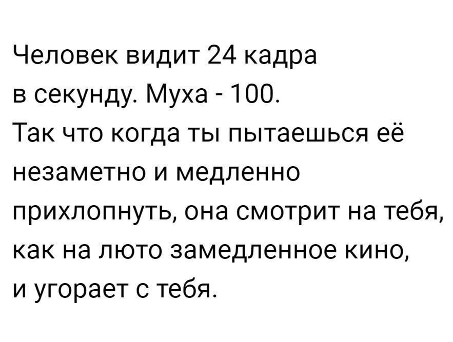 Короткие и смешные истории настроят вас на позитив картинки