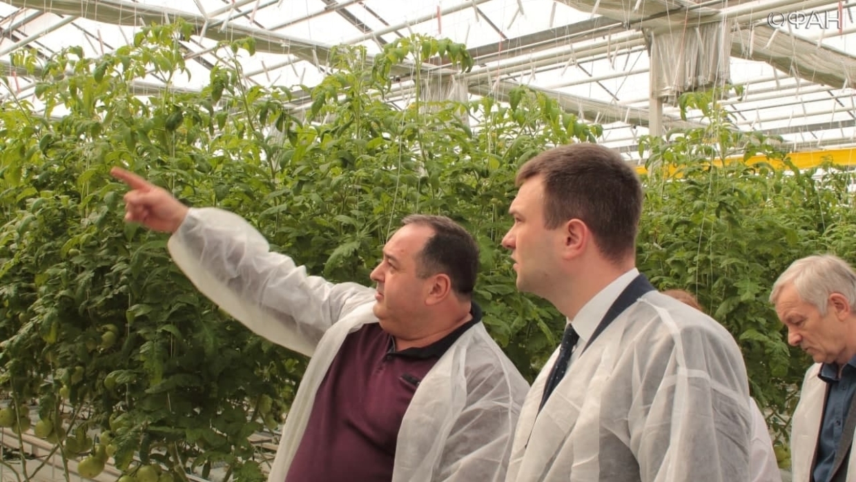 В Крыму показали современное аграрное предприятие по выращиванию 400 тонн томатов