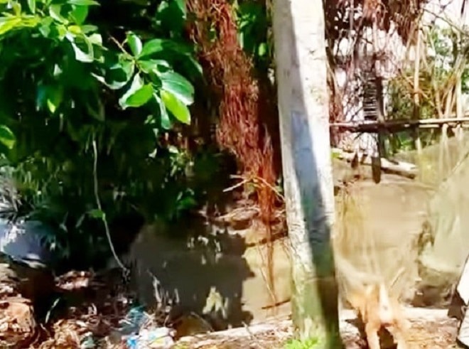 Сетка висит