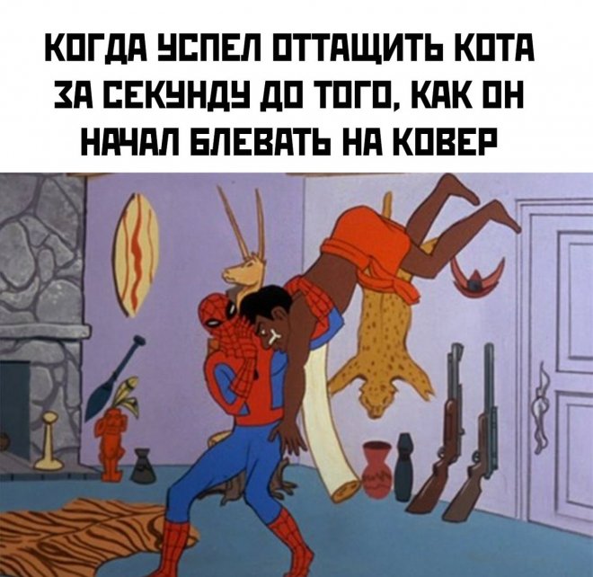 Свежие картинки поднимающие настроение 