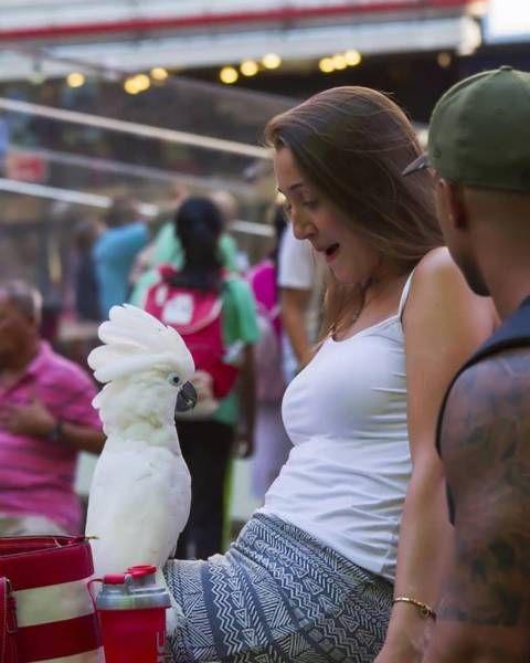 Классные картинки и веселые фотографии из нашей жизни Классные картинки и веселые фотографии из нашей жизни прикольные картинки