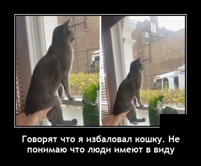 Новые демотиваторы Новые демотиваторы демотиваторы