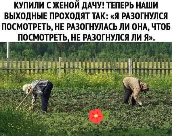 - Ты почему такой грустный? - Грустный? Не то слово!... Студент, Преподаватель, почему, Сколько, кажется, Вовочка, смотрел, сквер, пацаны, гоняли, время, скейтах, грустно, думал, сквере, классно, классе, урока, человекаВо, такой