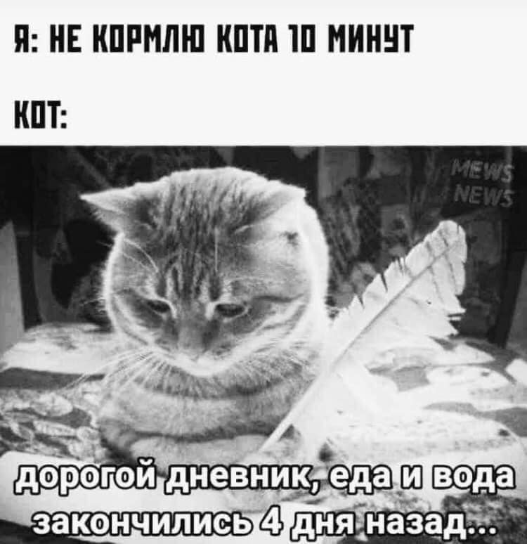 - Жарко, пойдём купим мороженное.  - У меня нет денег... глобального, теории, ничего, потепления, набор, сильный, радио, ведет, ТЯЖЕЛO, когда, ТРУДНO, кричит, ответить, стоматолога, пояса, Тогда, которая, программист, спонсором, границе