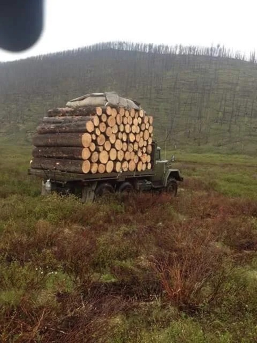 Как возят лес в Монголии авто и мото,автоновости,видео