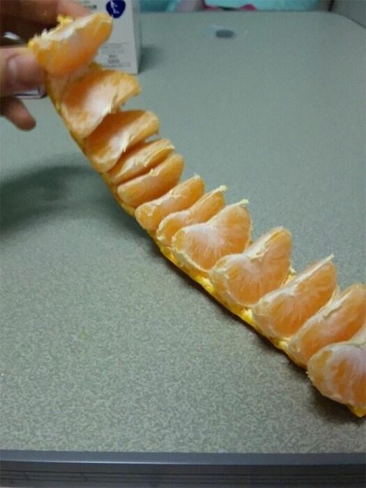 Очищение апельсина может стать приятным занятием с красивым результатом. | Фото: boredpanda.com.