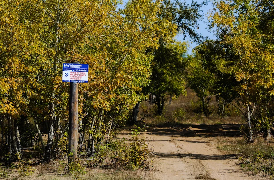 Бурятия: край, где ревут изюбри 