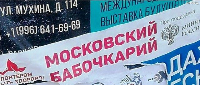 Что ни фото, то Хит! Офигенный юмор! Что ни фото, то Хит! Офигенный юмор! смешные картинки