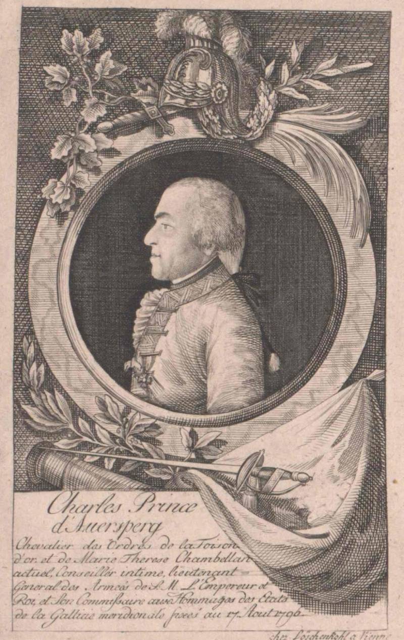 Война третьей коалиции. На пути к Аустерлицу история