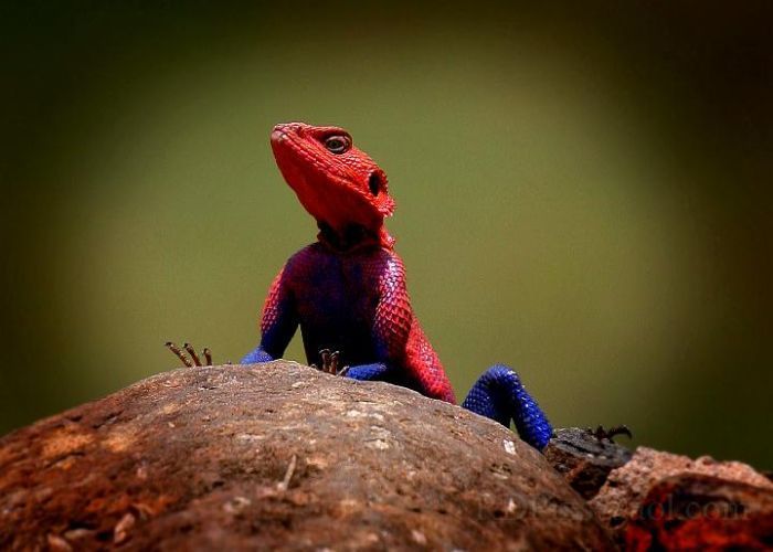 Давайте улыбаться вместе! :) (39улыбок)