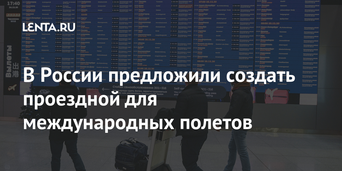 В России предложили создать проездной для международных полетов Путешествия