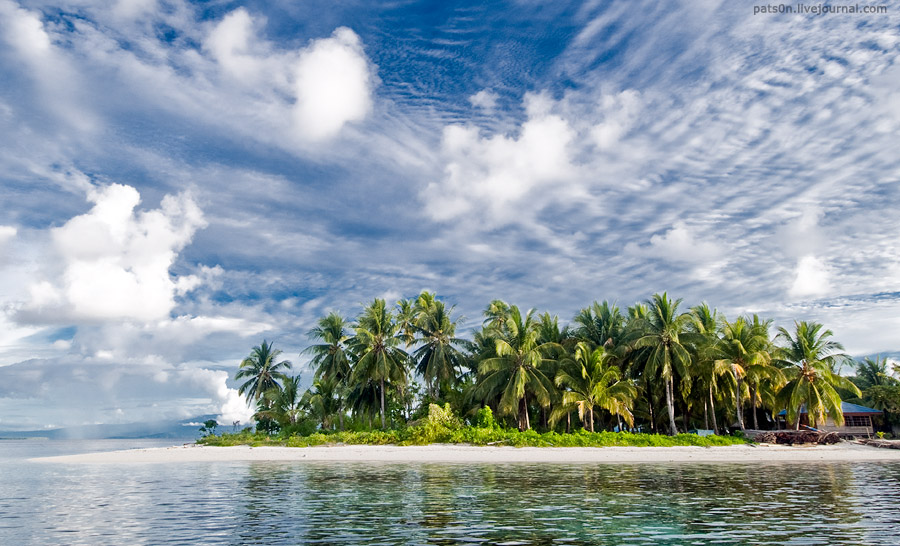 Фотография: Волшебный мир архипелага Раджа Ампат №11 - BigPicture.ru