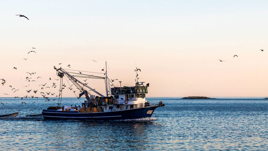 Российский посол в Ирландии договорился с местными рыбаками о проведении учений