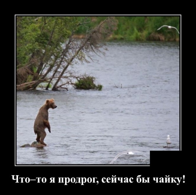 Самые новые демотиваторы Самые новые демотиваторы демотиваторы