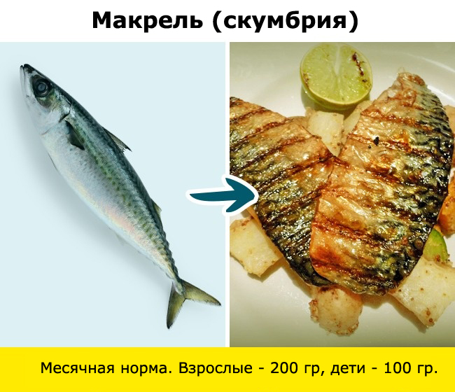 Рыба, сом, макрель, скумбрия, тунец, угорь, пангасиус, сибас, морской окунь, гемпилотоксин, масляная рыба, тайлфиш, гребнеголов, рыбалка, ртуть, нитрофуразон, Вьетнам, Меконг, 