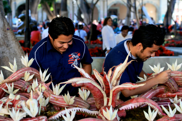 фестиваль редиски