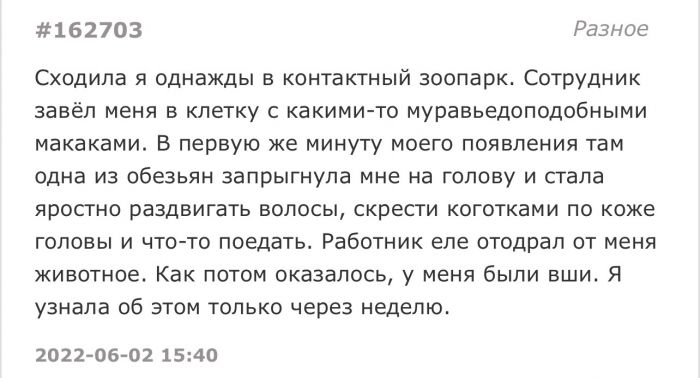 Хронические ежевечерние женские штучки Хронические ежевечерние женские штучки