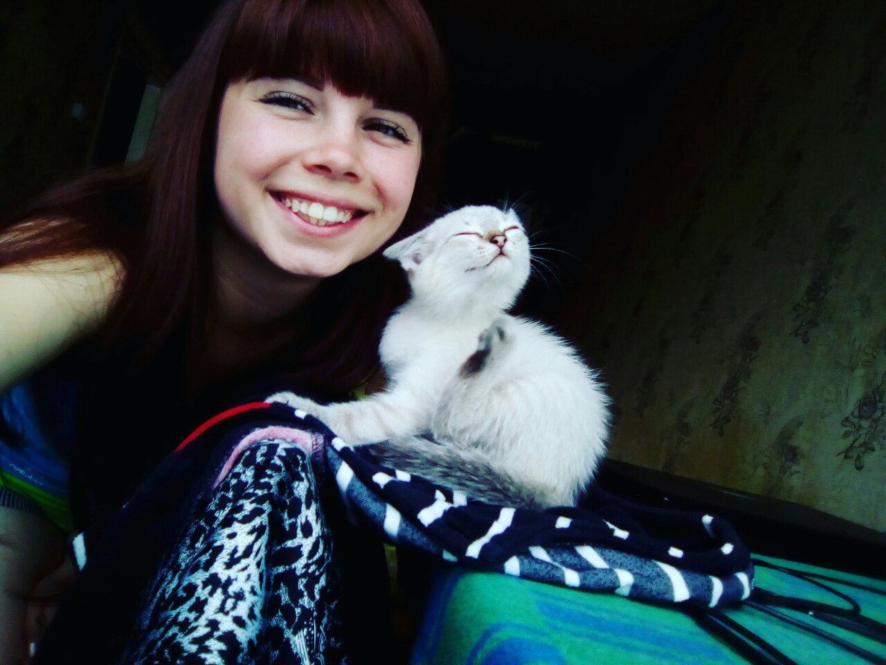 помощь котятам котенок с девушкой