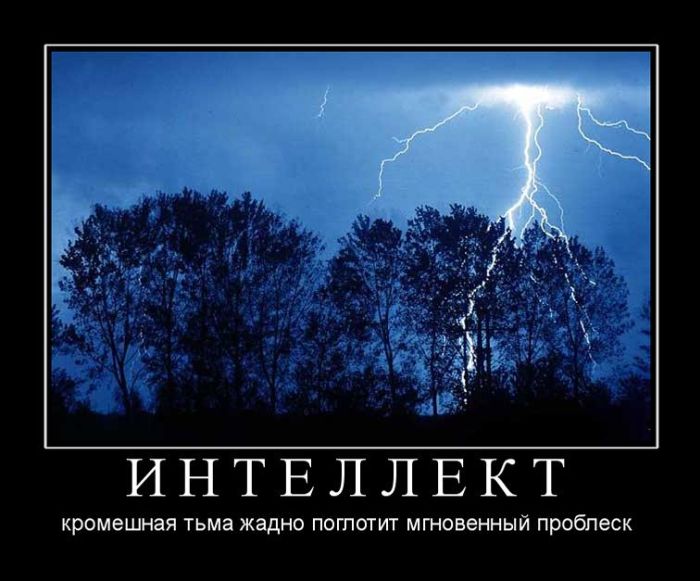 Забавные и смешные демотиваторы из нашей жизни со смыслом 