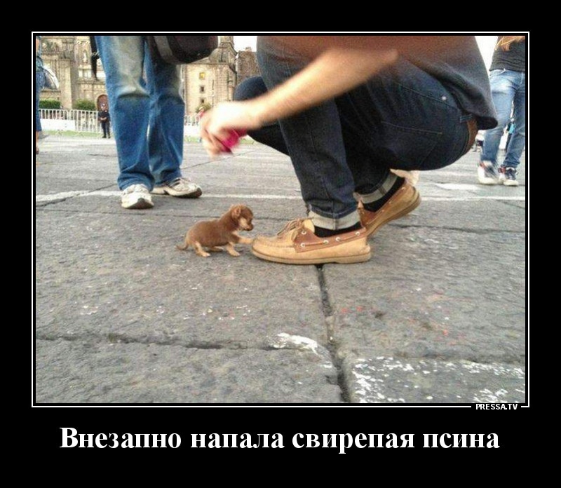 Юмор из интернета 748 позитив,смех,улыбки,юмор