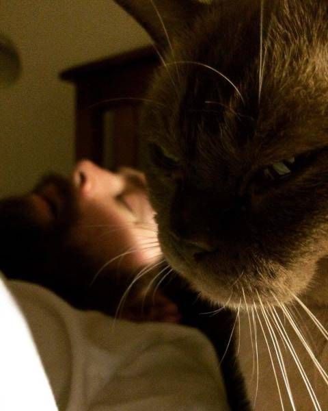 Прикольные картинки скрасят понедельник (40 шт)