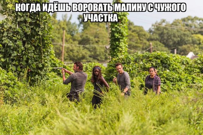 Подборка веселых и прикольных фотографий с надписями картинки с надписями,смешные картинки,смешные комментарии