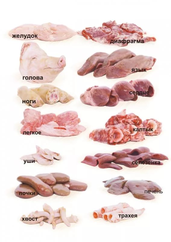 Субпродукты что это такое
