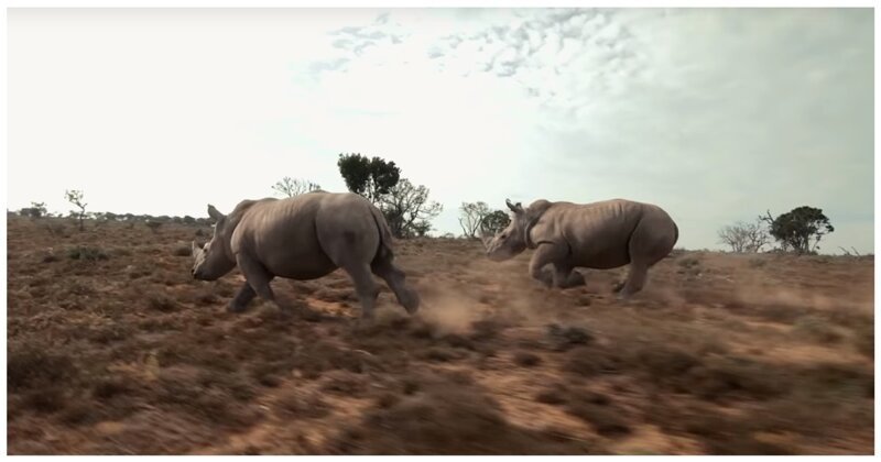 Сколько дронов нужно было перебить, чтобы научиться так снимать?