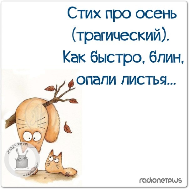 Стихи смешные короткие в картинках