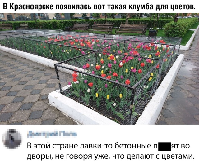 Подборка смешных картинок.  