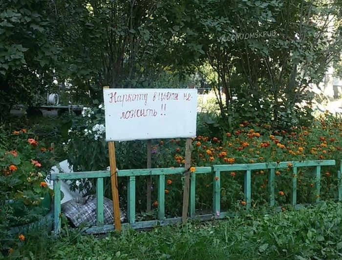 Подборка смешных и веселых картинок для настроения (11 фото)