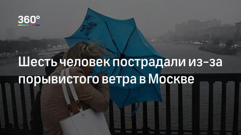 Шесть человек пострадали из-за порывистого ветра в Москве