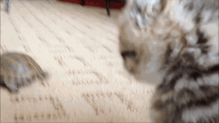 Подборка жизненных гифок на выходные 