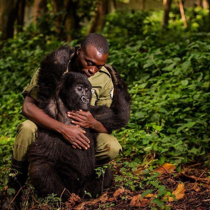 National Geographic выбрал лучшие фотографии в Инстаграме, вот 25 впечатляющих снимков