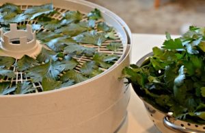 В электросушилке