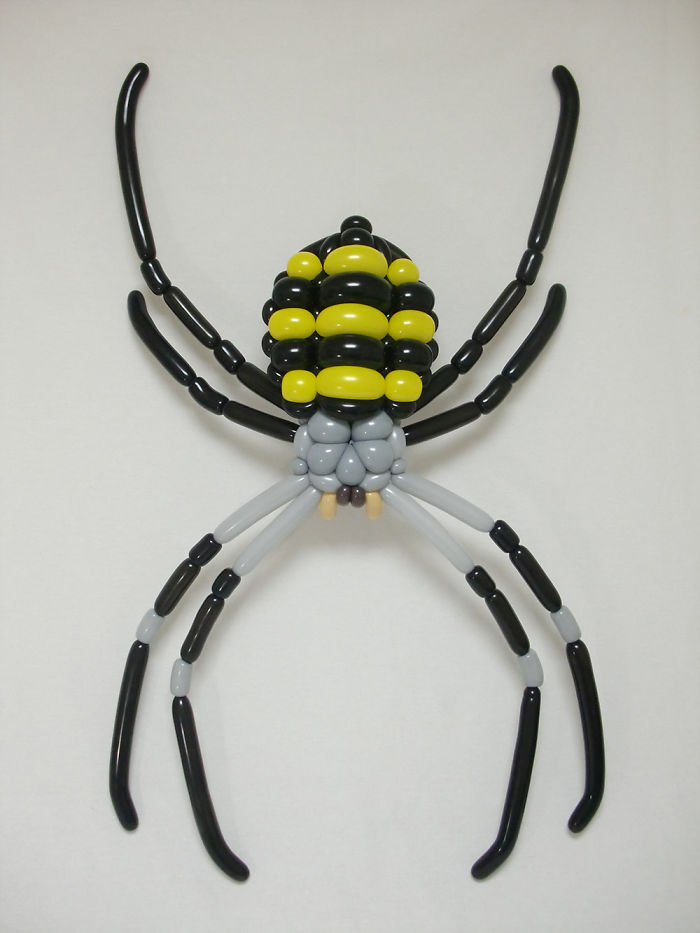 Spider