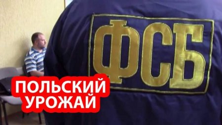 У Варшавы появились проблемы: ФСБ ликвидировала сеть польской агентуры в России.... новости,события,в мире,политика