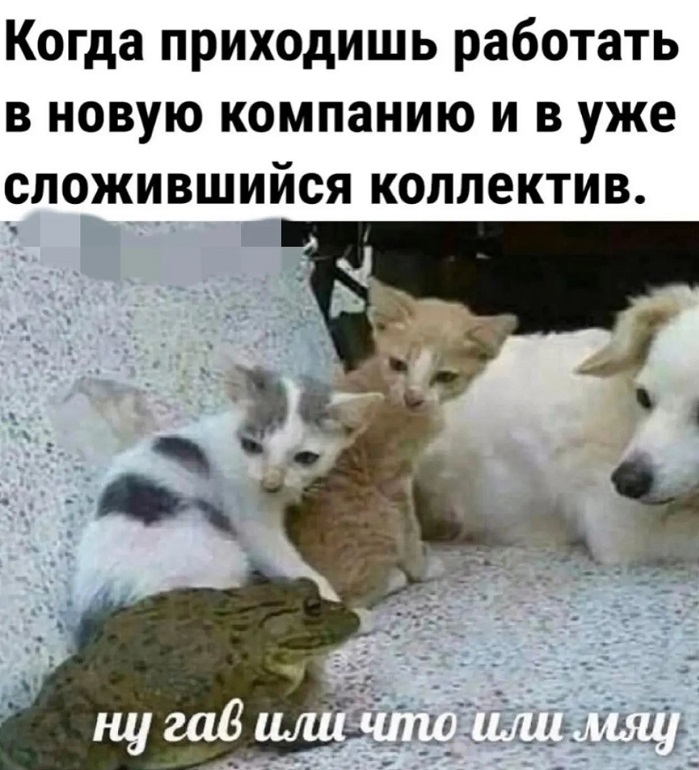 Октябрёвое!.. 