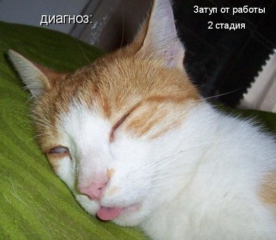 А у вас бывало подобное? заработался, история, работа, устал