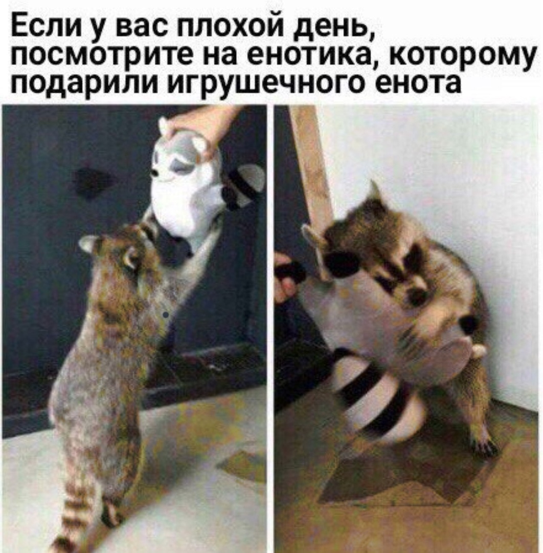 Прикольные, зачетные и классные фотографии с надписью со смыслом картинки с надписями,красивые фотографии,приколы,прикольные картинки,угарные фотки,юмор