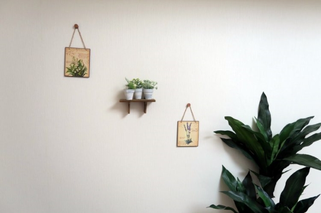 Она приехала работать в Японию. Открыв дверь съемной квартиры, девушка не поверила своим глазам! Она приехала работать в Японию. Открыв дверь съемной квартиры, девушка не поверила своим глазам! заграница,страны,туризм