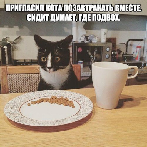 Смешные пятничные анекдоты (13 шт)