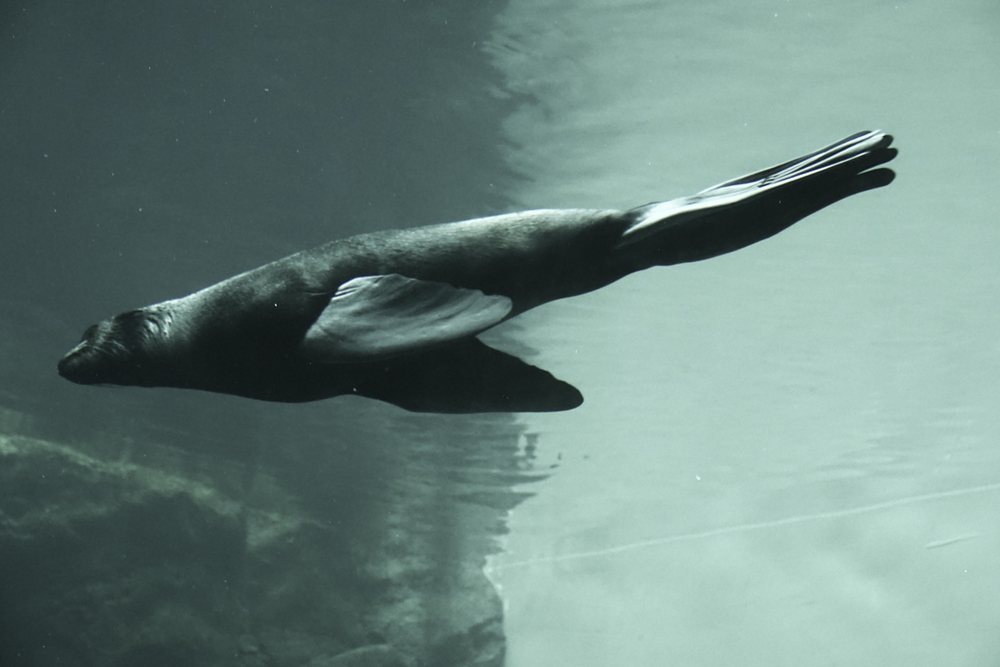 Seattle Washington Part 1-7.jpg