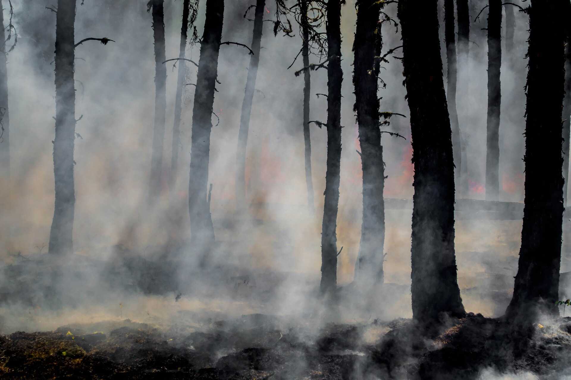 Площадь лесных пожаров в Хабаровском крае превысила 47 тысяч гектаров