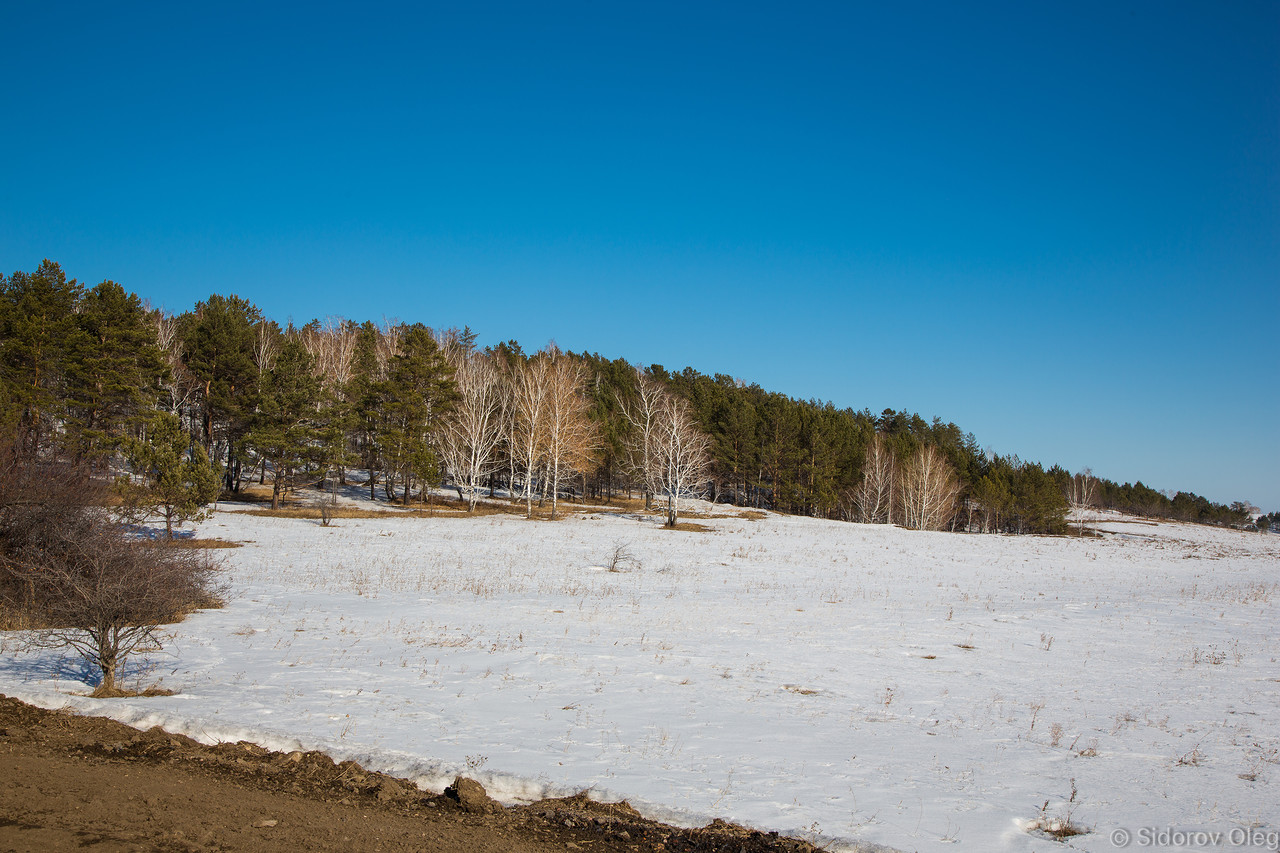 человек и компьютер сходства и различия. дружба и войсковое товарищество. дружба и войсковое товарищество презентация. интерференция и дифракция разница. память человека и компьютера сравнение.