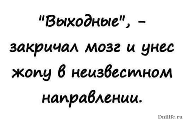 Юмор картинки про выходные с надписями, поздравление годовщиной