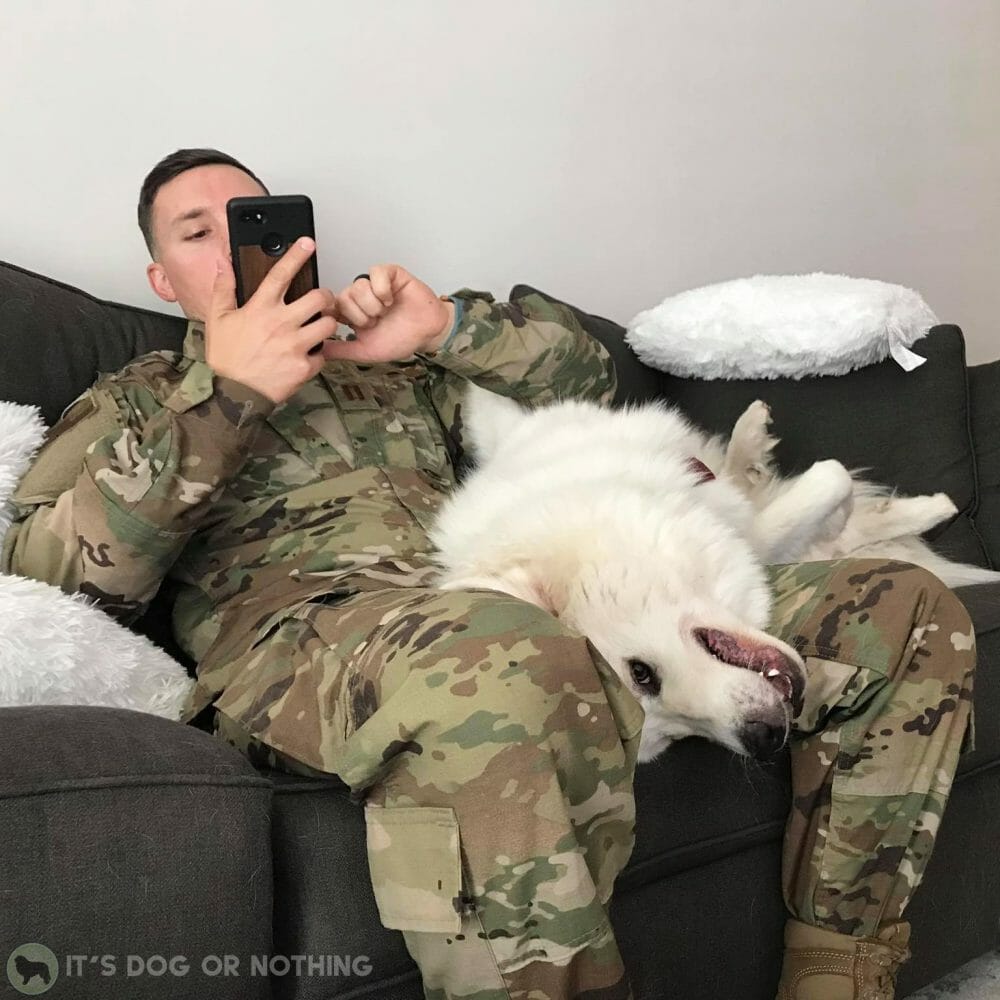 Great Pyrenees and man in Air Force uniform