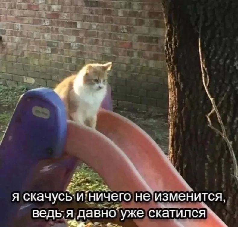 Немножко смешных зверушек... Надёргано , отовсюду