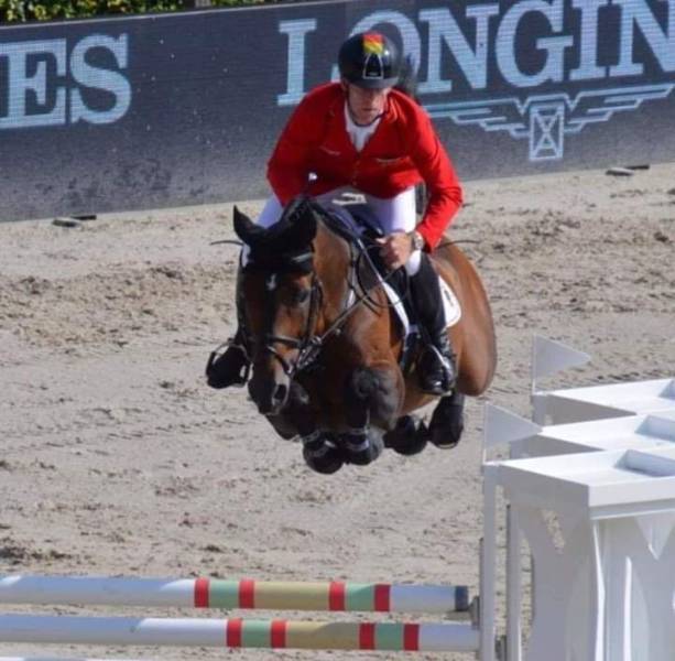 Милая, тебе снятся эротические сны? анекдоты,веселье,демотиваторы,приколы,смех,юмор