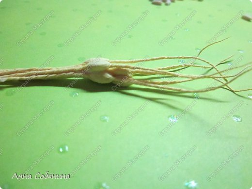 Мастер-класс Поделка изделие Моделирование конструирование Колосок из гофрированной бумаги Бумага гофрированная Крупа фото 16